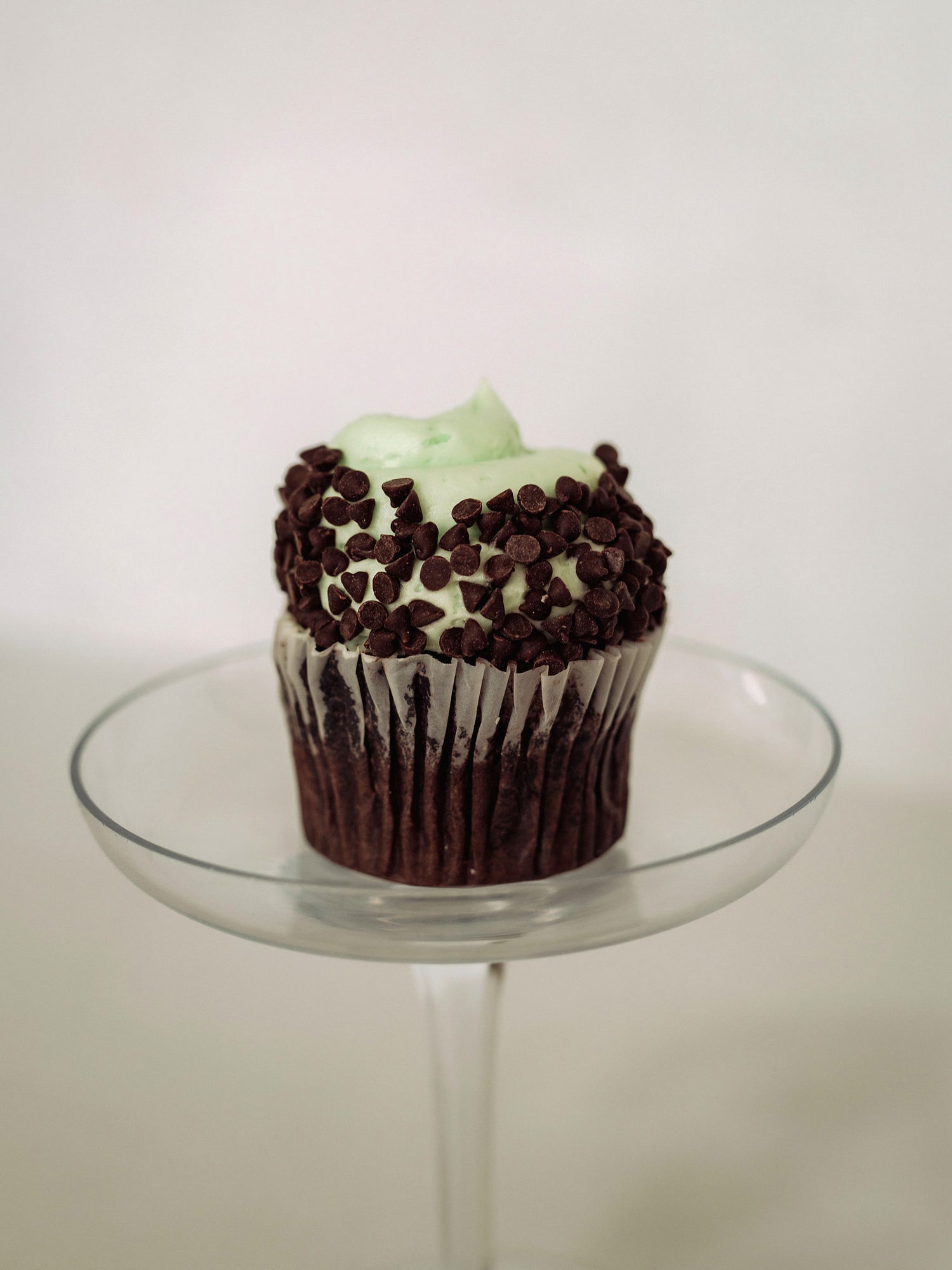 Mint Chocolate Chip Cupcake